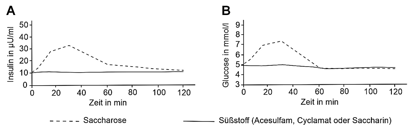 Zwei Diagramme: Saccharose (gestrichelt) erzeugt Insulin‑ und Glukose‑Peaks um 30 min; Süßstoff (durchgezogen) bleibt flach.